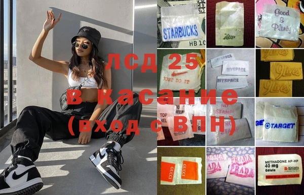 ешки Бородино