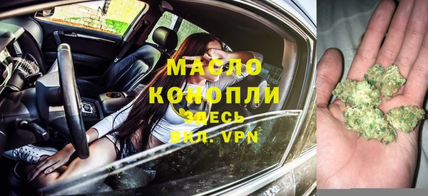 ешки Бородино