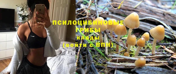 ешки Бородино