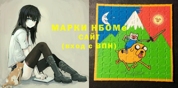 ешки Бородино