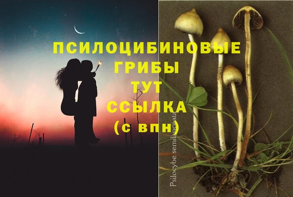 не бодяженный Бугульма