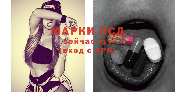ешки Бородино